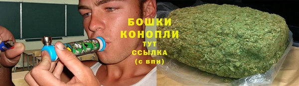 ГАЛЛЮЦИНОГЕННЫЕ ГРИБЫ Алзамай