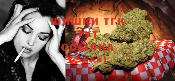 ГАЛЛЮЦИНОГЕННЫЕ ГРИБЫ Алзамай