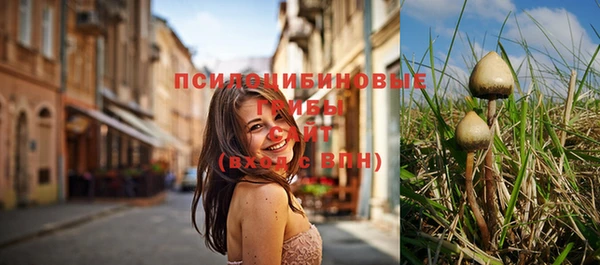 ГАЛЛЮЦИНОГЕННЫЕ ГРИБЫ Алзамай